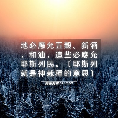 Picture 05 - 何 西 阿 書 2:22 CUVT - 地 必 應 允 五 穀 、 新 酒 ， 和 油 - Bible Verse Picture
