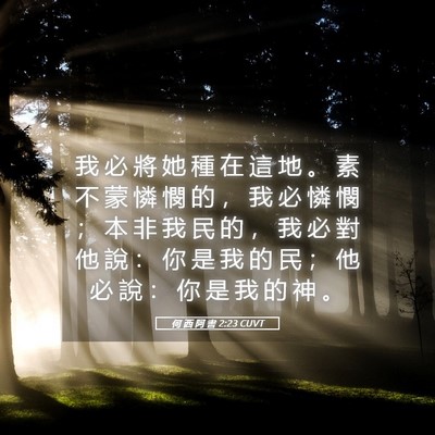 Picture 05 - 何 西 阿 書 2:23 CUVT - 我 必 將 她 種 在 這 地 。 素 不 蒙 - Bible Verse Picture