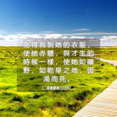 Picture 05 - 何 西 阿 書 2:3 CUVT - 免 得 我 剝 她 的 衣 服 ， 使 她 赤 - Bible Verse Picture