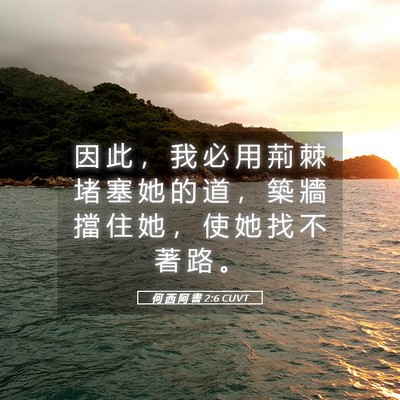 Picture 05 - 何 西 阿 書 2:6 CUVT - 因 此 ， 我 必 用 荊 棘 堵 塞 她 的 - Bible Verse Picture