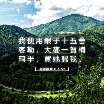 Picture 05 - 何 西 阿 書 3:2 CUVT - 我 便 用 銀 子 十 五 舍 客 勒 ， 大 - Bible Verse Picture