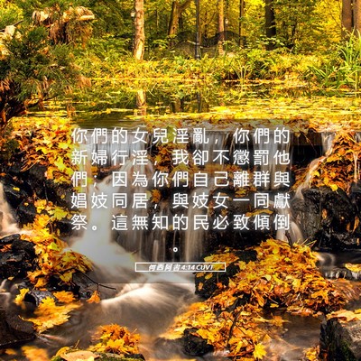 Picture 05 - 何 西 阿 書 4:14 CUVT - 你 們 的 女 兒 淫 亂 ， 你 們 的 新 - Bible Verse Picture