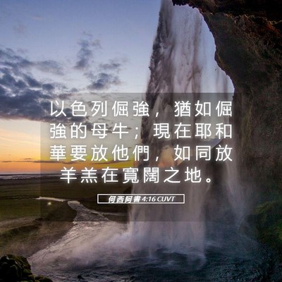 Picture 05 - 何 西 阿 書 4:16 CUVT - 以 色 列 倔 強 ， 猶 如 倔 強 的 母 - Bible Verse Picture