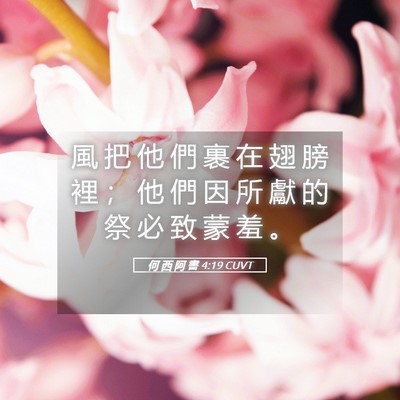 Picture 05 - 何 西 阿 書 4:19 CUVT - 風 把 他 們 裹 在 翅 膀 裡 ； 他 們 - Bible Verse Picture