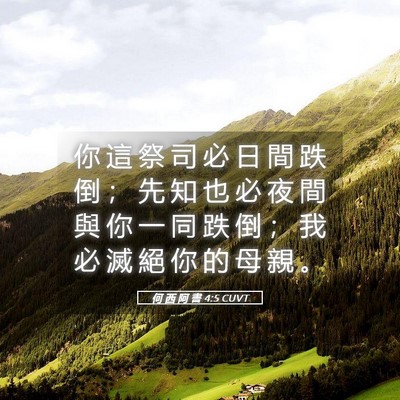 Picture 05 - 何 西 阿 書 4:5 CUVT - 你 這 祭 司 必 日 間 跌 倒 ； 先 知 - Bible Verse Picture