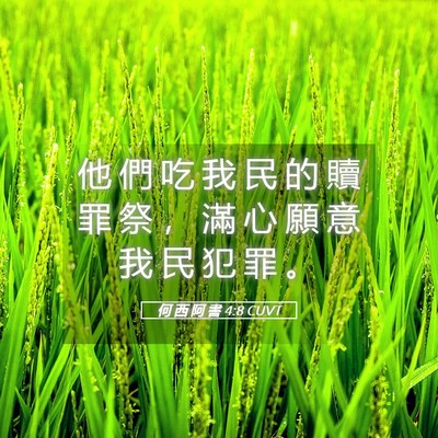 Picture 05 - 何 西 阿 書 4:8 CUVT - 他 們 吃 我 民 的 贖 罪 祭 ， 滿 心 - Bible Verse Picture