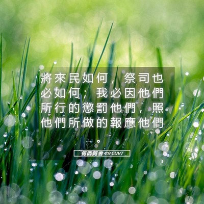 Picture 05 - 何 西 阿 書 4:9 CUVT - 將 來 民 如 何 ， 祭 司 也 必 如 何 - Bible Verse Picture