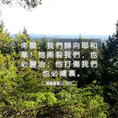 Picture 05 - 何 西 阿 書 6:1 CUVT - 來 罷 ， 我 們 歸 向 耶 和 華 ！ 他 - Bible Verse Picture