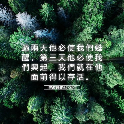 Picture 05 - 何 西 阿 書 6:2 CUVT - 過 兩 天 他 必 使 我 們 甦 醒 ， 第 - Bible Verse Picture