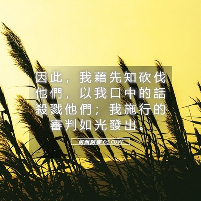 Picture 05 - 何 西 阿 書 6:5 CUVT - 因 此 ， 我 藉 先 知 砍 伐 他 們 ， - Bible Verse Picture