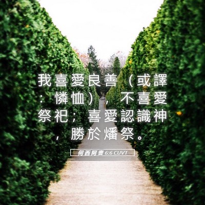Picture 05 - 何 西 阿 書 6:6 CUVT - 我 喜 愛 良 善 （ 或 譯 ： 憐 恤 ） - Bible Verse Picture