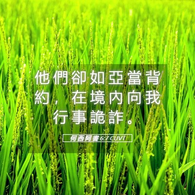 Picture 05 - 何 西 阿 書 6:7 CUVT - 他 們 卻 如 亞 當 背 約 ， 在 境 內 - Bible Verse Picture