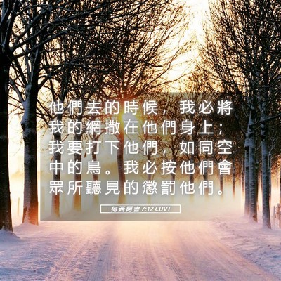Picture 05 - 何 西 阿 書 7:12 CUVT - 他 們 去 的 時 候 ， 我 必 將 我 的 - Bible Verse Picture