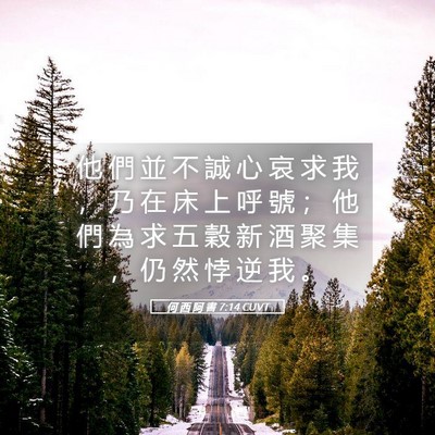 Picture 05 - 何 西 阿 書 7:14 CUVT - 他 們 並 不 誠 心 哀 求 我 ， 乃 在 - Bible Verse Picture