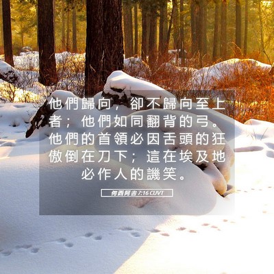 Picture 05 - 何 西 阿 書 7:16 CUVT - 他 們 歸 向 ， 卻 不 歸 向 至 上 者 - Bible Verse Picture