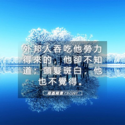 Picture 05 - 何 西 阿 書 7:9 CUVT - 外 邦 人 吞 吃 他 勞 力 得 來 的 ， - Bible Verse Picture