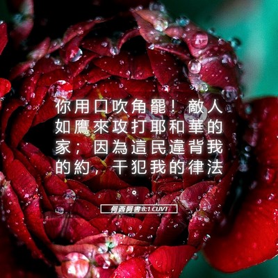 Picture 05 - 何 西 阿 書 8:1 CUVT - 你 用 口 吹 角 罷 ！ 敵 人 如 鷹 來 - Bible Verse Picture