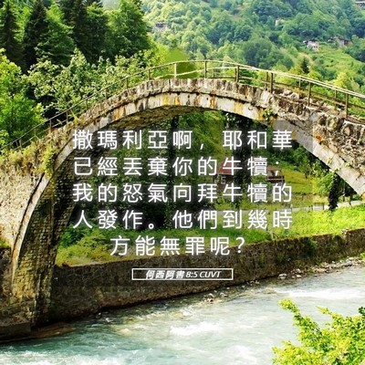 Picture 05 - 何 西 阿 書 8:5 CUVT - 撒 瑪 利 亞 啊 ， 耶 和 華 已 經 丟 - Bible Verse Picture