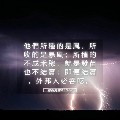 Picture 05 - 何 西 阿 書 8:7 CUVT - 他 們 所 種 的 是 風 ， 所 收 的 是 - Bible Verse Picture