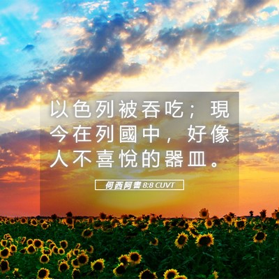 Picture 05 - 何 西 阿 書 8:8 CUVT - 以 色 列 被 吞 吃 ； 現 今 在 列 國 - Bible Verse Picture