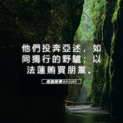 Picture 05 - 何 西 阿 書 8:9 CUVT - 他 們 投 奔 亞 述 ， 如 同 獨 行 的 - Bible Verse Picture