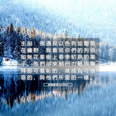 Picture 05 - 何 西 阿 書 9:10 CUVT - 主 說 ： 我 遇 見 以 色 列 如 葡 萄 - Bible Verse Picture