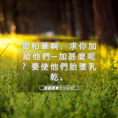 Picture 05 - 何 西 阿 書 9:14 CUVT - 耶 和 華 啊 ， 求 你 加 給 他 們 ─ - Bible Verse Picture