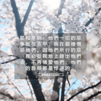 Picture 05 - 何 西 阿 書 9:15 CUVT - 耶 和 華 說 ： 他 們 一 切 的 惡 事 - Bible Verse Picture