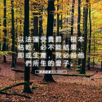 Picture 05 - 何 西 阿 書 9:16 CUVT - 以 法 蓮 受 責 罰 ， 根 本 枯 乾 ， - Bible Verse Picture