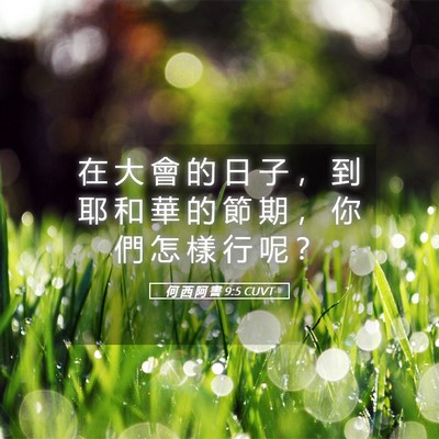 Picture 05 - 何 西 阿 書 9:5 CUVT - 在 大 會 的 日 子 ， 到 耶 和 華 的 - Bible Verse Picture