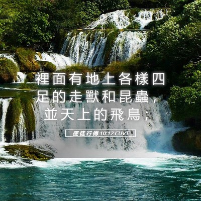 Picture 05 - 使 徒 行 傳 10:12 CUVT - 裡 面 有 地 上 各 樣 四 足 的 走 獸 - Bible Verse Picture