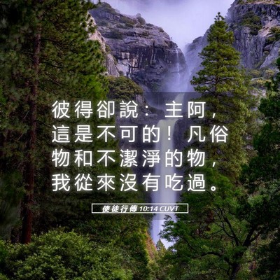 Picture 05 - 使 徒 行 傳 10:14 CUVT - 彼 得 卻 說 ： 主 阿 ， 這 是 不 可 - Bible Verse Picture