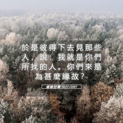 Picture 05 - 使 徒 行 傳 10:21 CUVT - 於 是 彼 得 下 去 見 那 些 人 ， 說 - Bible Verse Picture