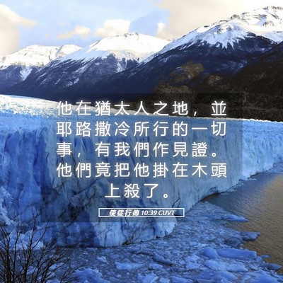 Picture 05 - 使 徒 行 傳 10:39 CUVT - 他 在 猶 太 人 之 地 ， 並 耶 路 撒 - Bible Verse Picture