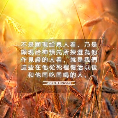 Picture 05 - 使 徒 行 傳 10:41 CUVT - 不 是 顯 現 給 眾 人 看 ， 乃 是 顯 - Bible Verse Picture