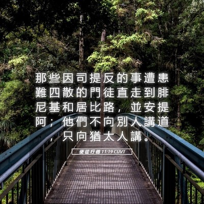 Picture 05 - 使 徒 行 傳 11:19 CUVT - 那 些 因 司 提 反 的 事 遭 患 難 四 - Bible Verse Picture