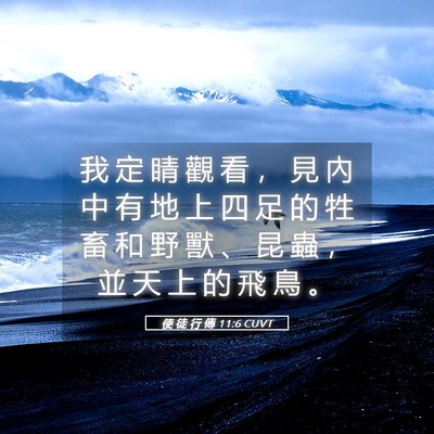 Picture 05 - 使 徒 行 傳 11:6 CUVT - 我 定 睛 觀 看 ， 見 內 中 有 地 上 - Bible Verse Picture