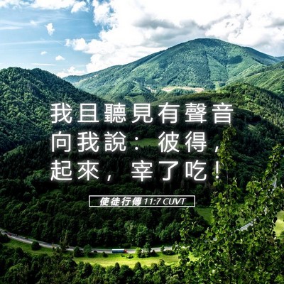Picture 05 - 使 徒 行 傳 11:7 CUVT - 我 且 聽 見 有 聲 音 向 我 說 ： 彼 - Bible Verse Picture