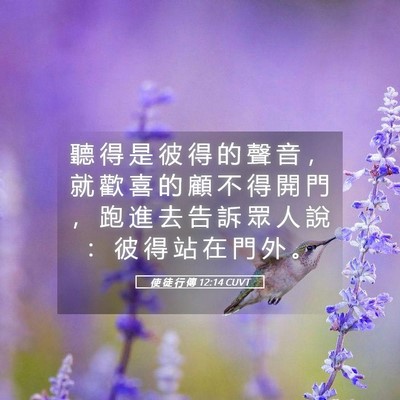 Picture 05 - 使 徒 行 傳 12:14 CUVT - 聽 得 是 彼 得 的 聲 音 ， 就 歡 喜 - Bible Verse Picture
