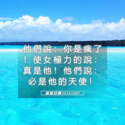 Picture 05 - 使 徒 行 傳 12:15 CUVT - 他 們 說 ： 你 是 瘋 了 ！ 使 女 極 - Bible Verse Picture