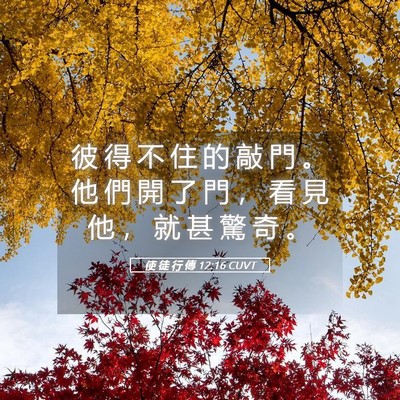Picture 05 - 使 徒 行 傳 12:16 CUVT - 彼 得 不 住 的 敲 門 。 他 們 開 了 - Bible Verse Picture