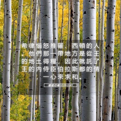 Picture 05 - 使 徒 行 傳 12:20 CUVT - 希 律 惱 怒 推 羅 、 西 頓 的 人 。 - Bible Verse Picture