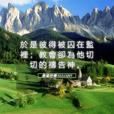 Picture 05 - 使 徒 行 傳 12:5 CUVT - 於 是 彼 得 被 囚 在 監 裡 ； 教 會 - Bible Verse Picture