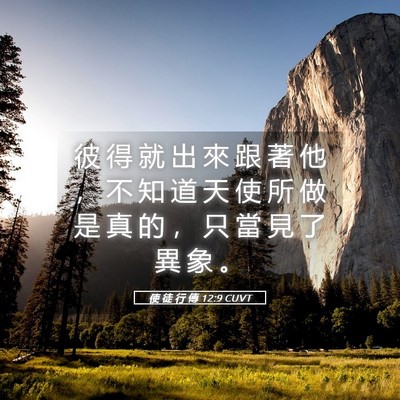 Picture 05 - 使 徒 行 傳 12:9 CUVT - 彼 得 就 出 來 跟 著 他 ， 不 知 道 - Bible Verse Picture