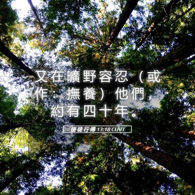 Picture 05 - 使 徒 行 傳 13:18 CUVT - 又 在 曠 野 容 忍 （ 或 作 ： 撫 養 - Bible Verse Picture