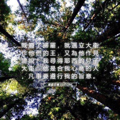Picture 05 - 使 徒 行 傳 13:22 CUVT - 既 廢 了 掃 羅 ， 就 選 立 大 衛 作 - Bible Verse Picture