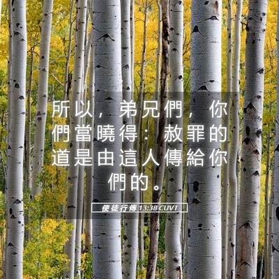 Picture 05 - 使 徒 行 傳 13:38 CUVT - 所 以 ， 弟 兄 們 ， 你 們 當 曉 得 - Bible Verse Picture