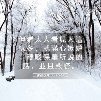 Picture 05 - 使 徒 行 傳 13:45 CUVT - 但 猶 太 人 看 見 人 這 樣 多 ， 就 - Bible Verse Picture