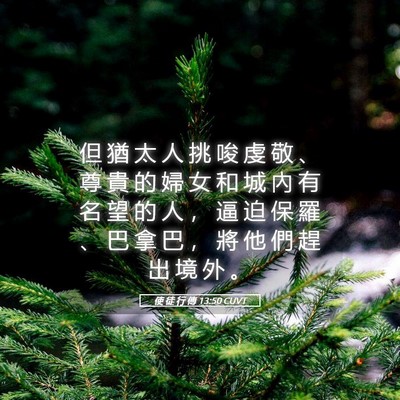 Picture 05 - 使 徒 行 傳 13:50 CUVT - 但 猶 太 人 挑 唆 虔 敬 、 尊 貴 的 - Bible Verse Picture