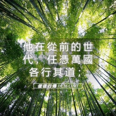 Picture 05 - 使 徒 行 傳 14:16 CUVT - 他 在 從 前 的 世 代 ， 任 憑 萬 國 - Bible Verse Picture